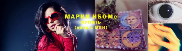 стафф Алзамай