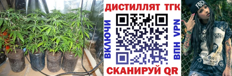 Дистиллят ТГК Wax Туапсе