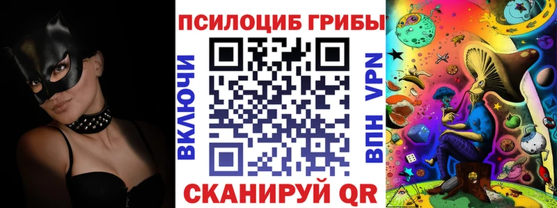 Псилоцибиновые грибы мицелий  Купить  Туапсе 